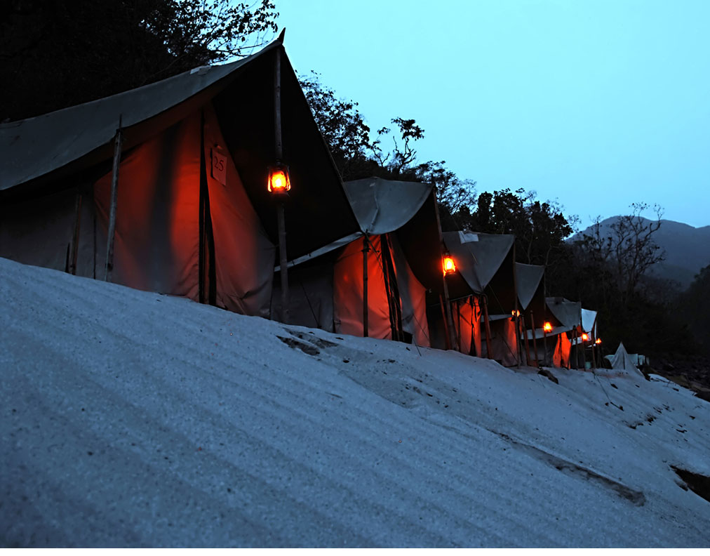 Camping Web